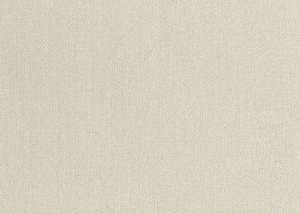 Baobab 6551