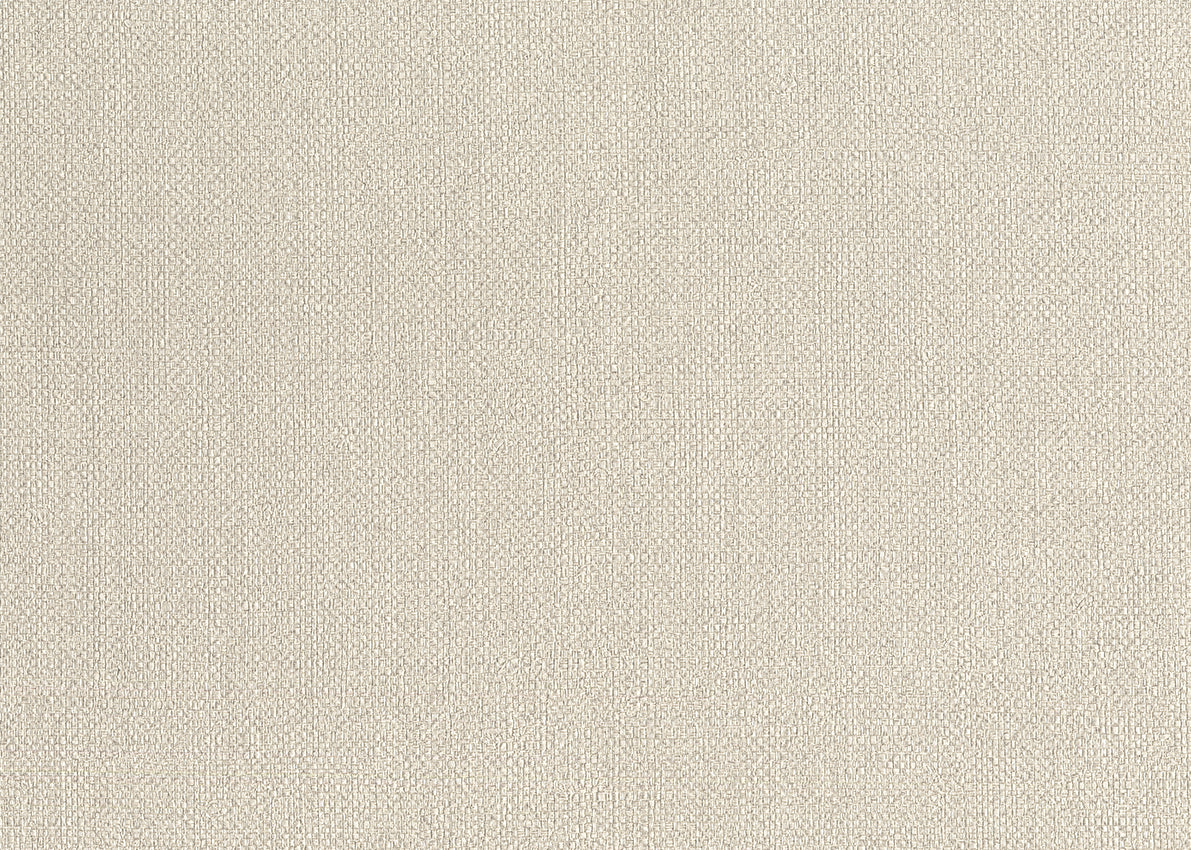 Baobab 6551