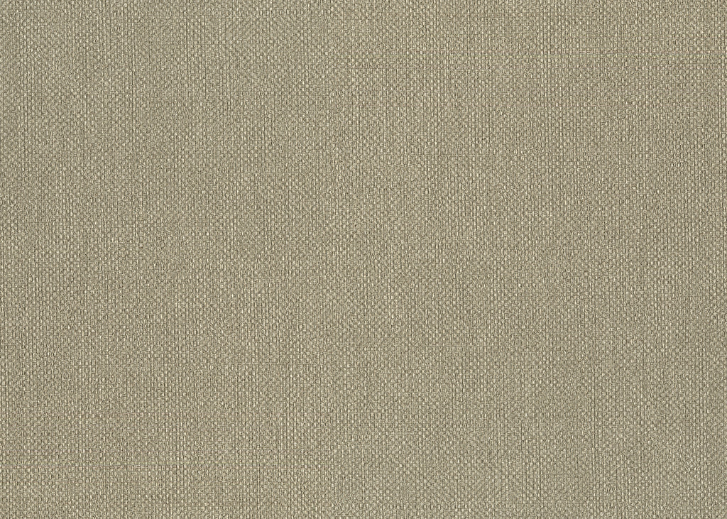 Baobab 6552