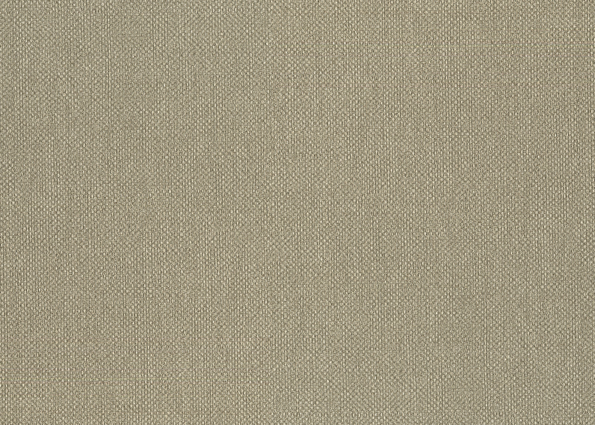 Baobab 6552