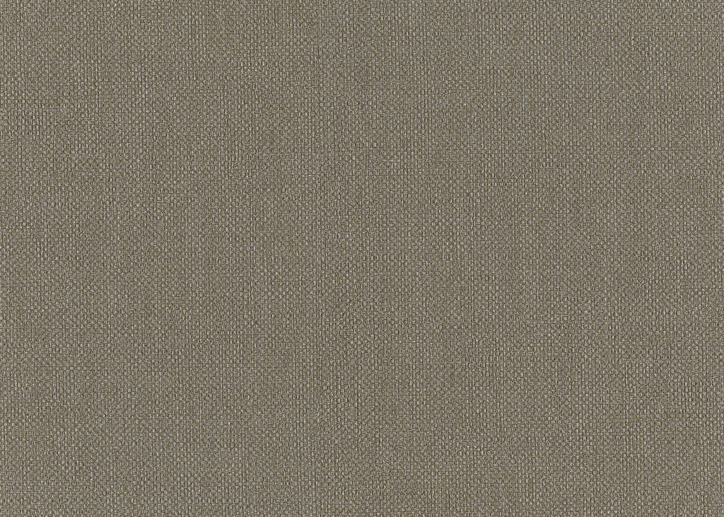 Baobab 6553