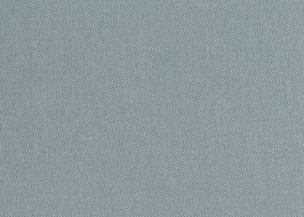 Baobab 6558