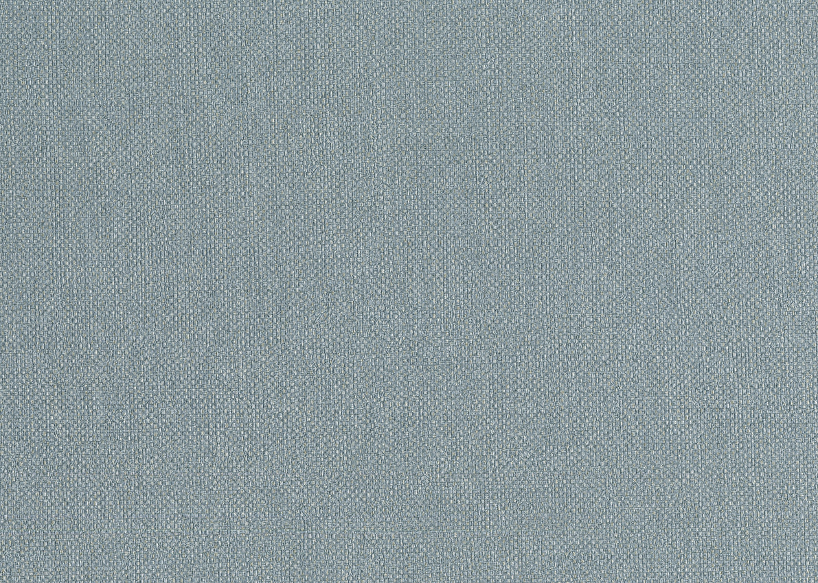Baobab 6558