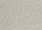 CANVAS 20869