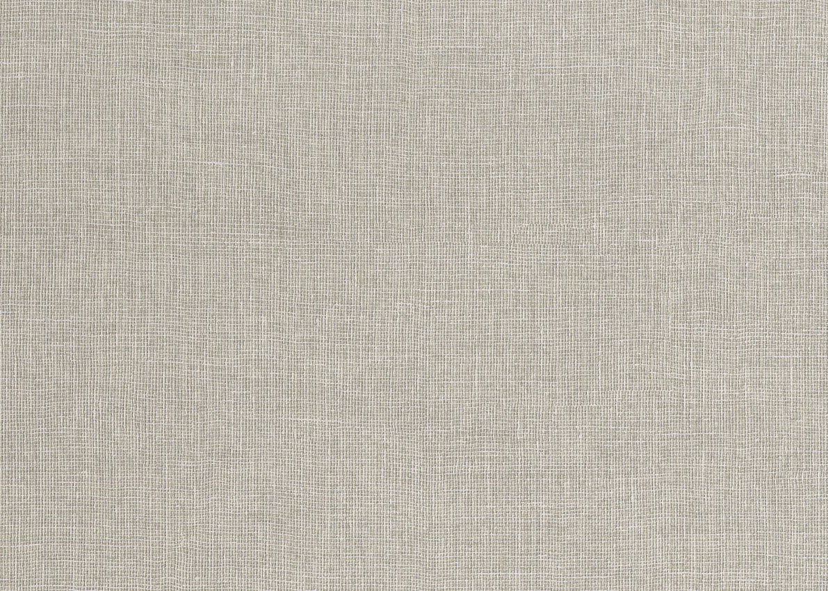 CANVAS 20869