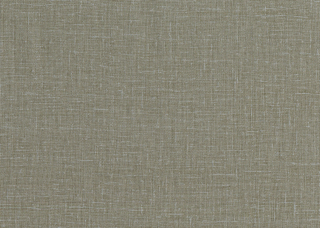 CANVAS 24950