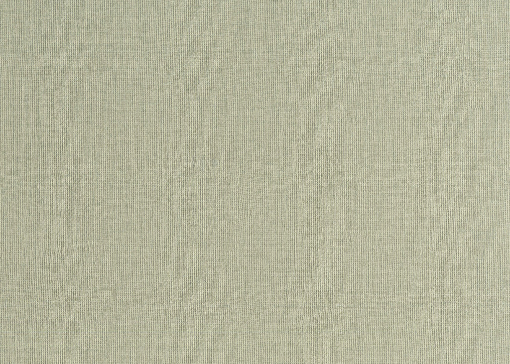 CANVAS 24951