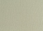 CANVAS 24951