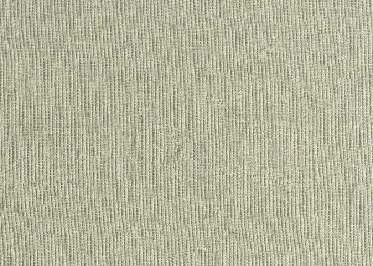 CANVAS 24951