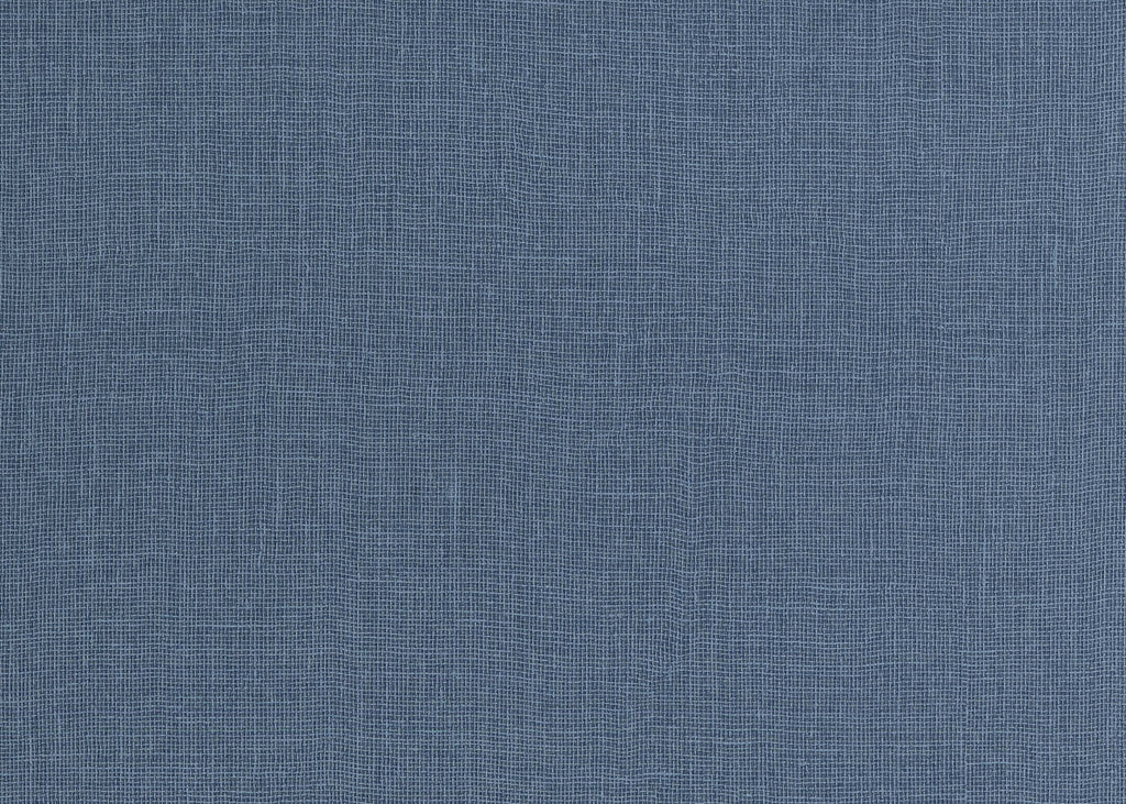 CANVAS 24954