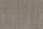 DOMANICO 54