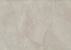 Daphne 7602