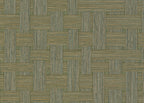 Fargesia 25725
