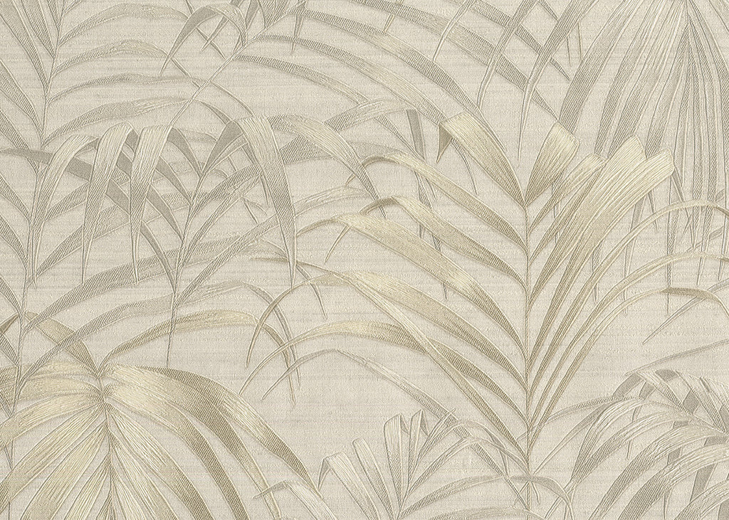 Fern 6810