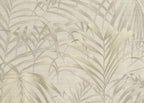 Fern 6810