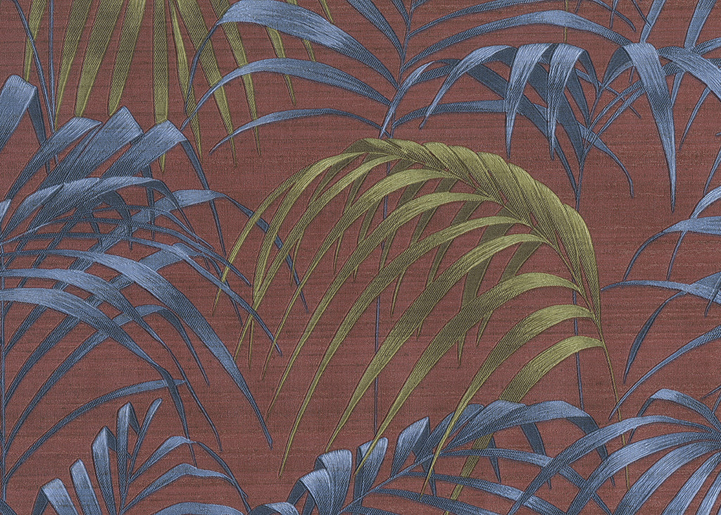 Fern 6811