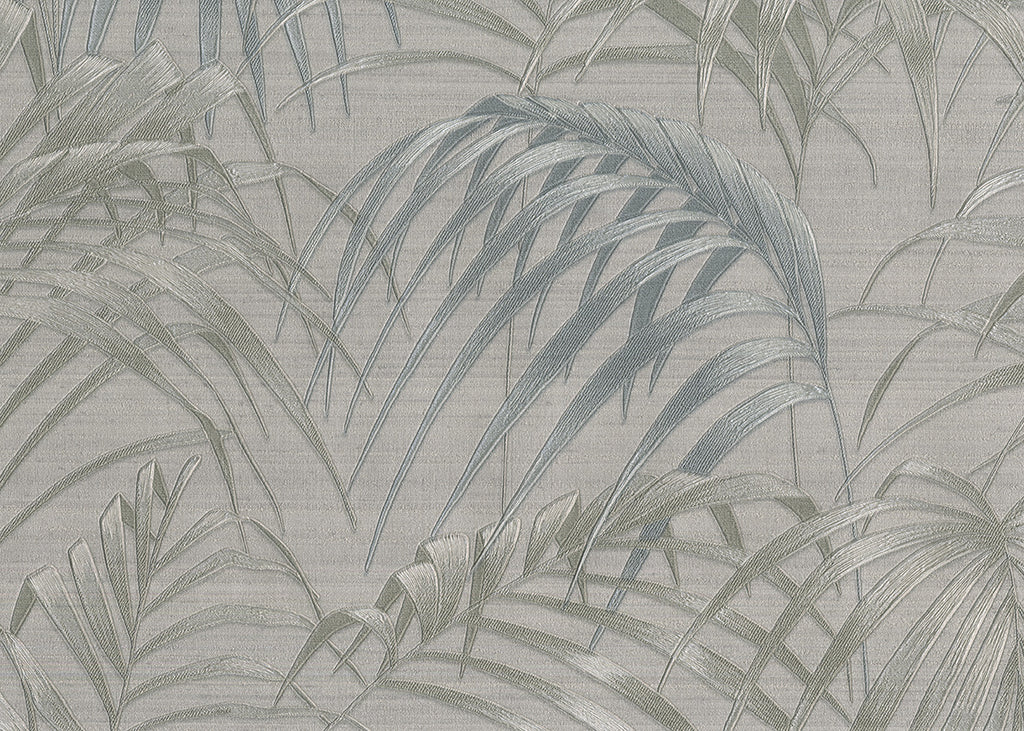 Fern 6812