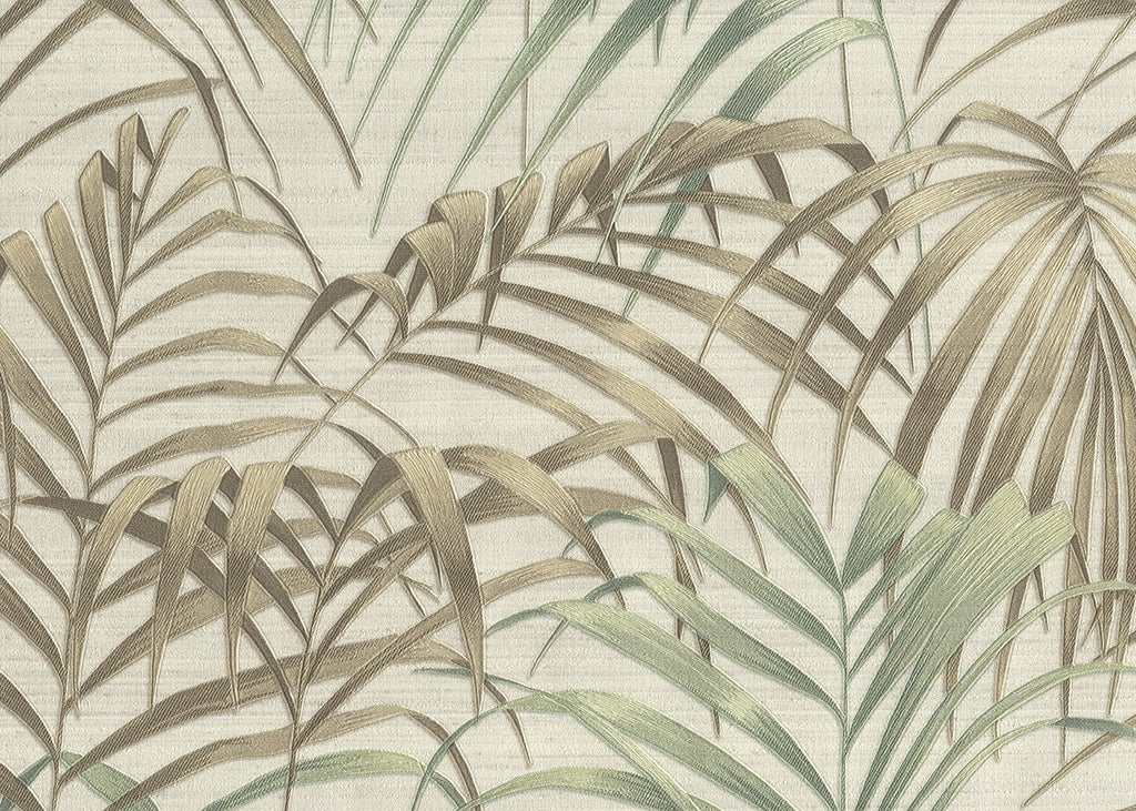 Fern 6813