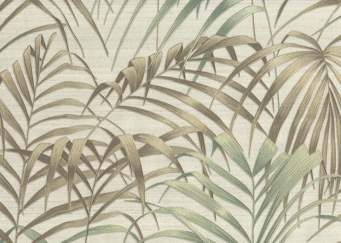 Fern 6813