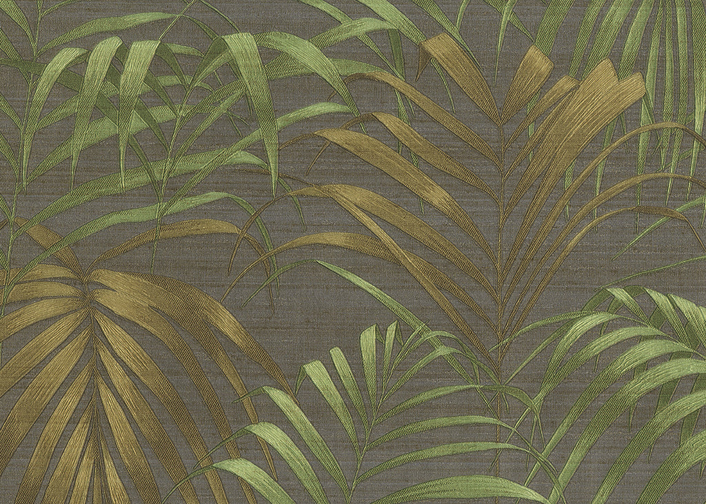 Fern 6814