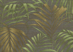 Fern 6814