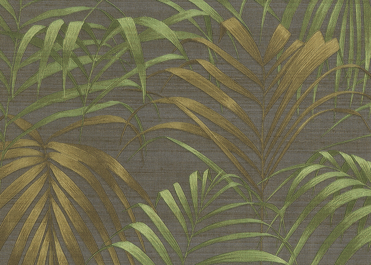 Fern 6814