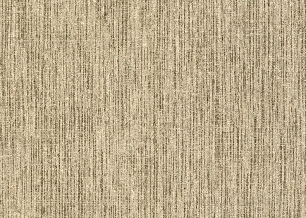 Filorafia 25770