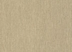 Filorafia 25770