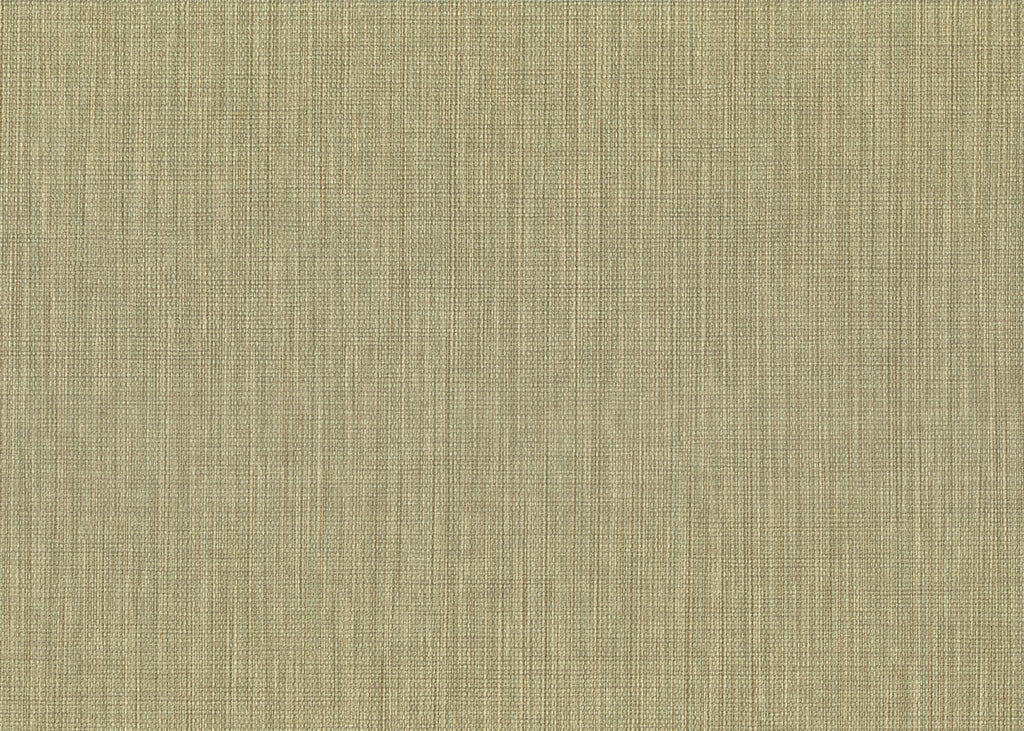 Haze 26261