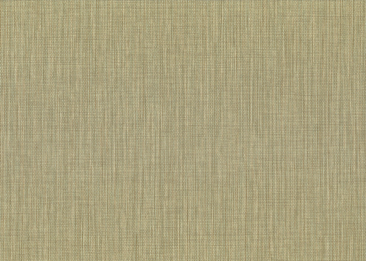 Haze 26261