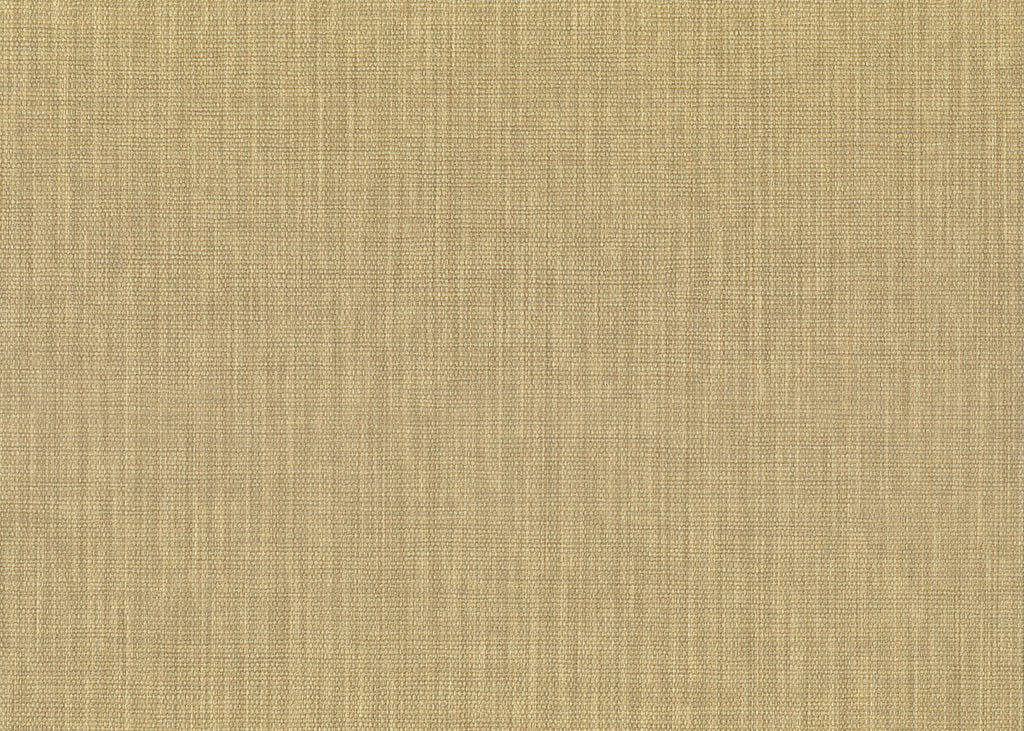 Haze 26262