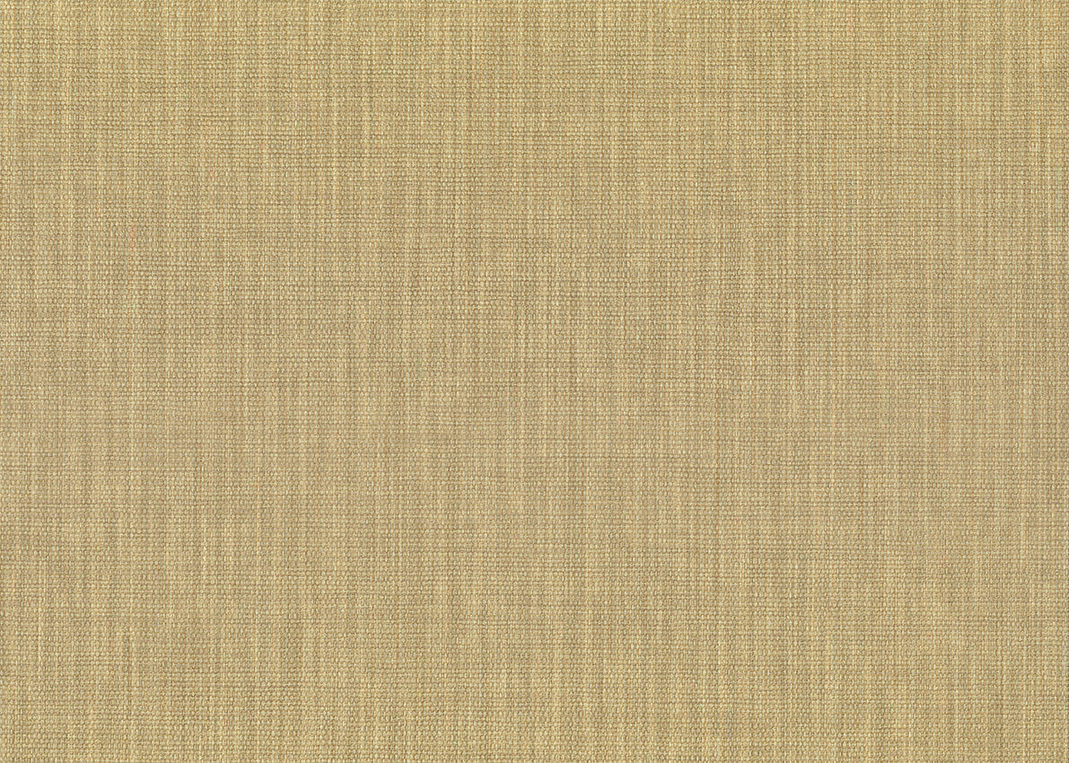 Haze 26262
