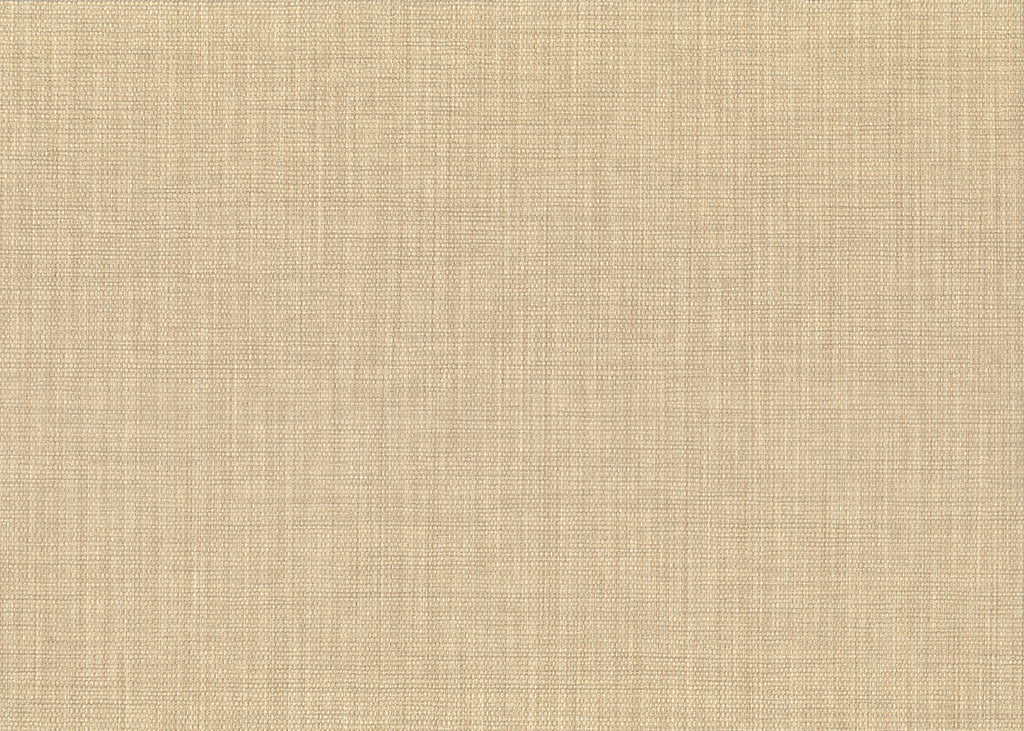 Haze 26263