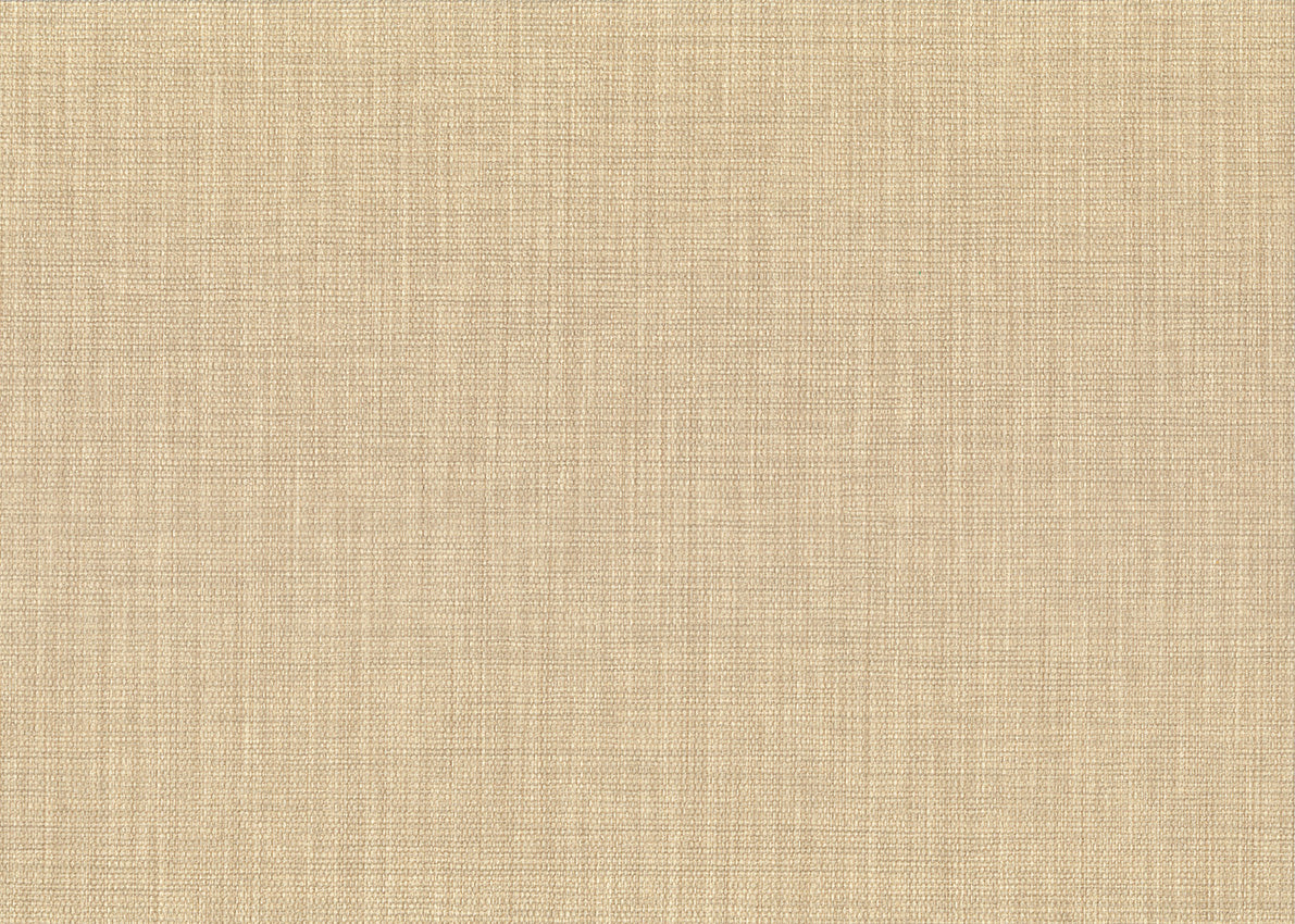 Haze 26263