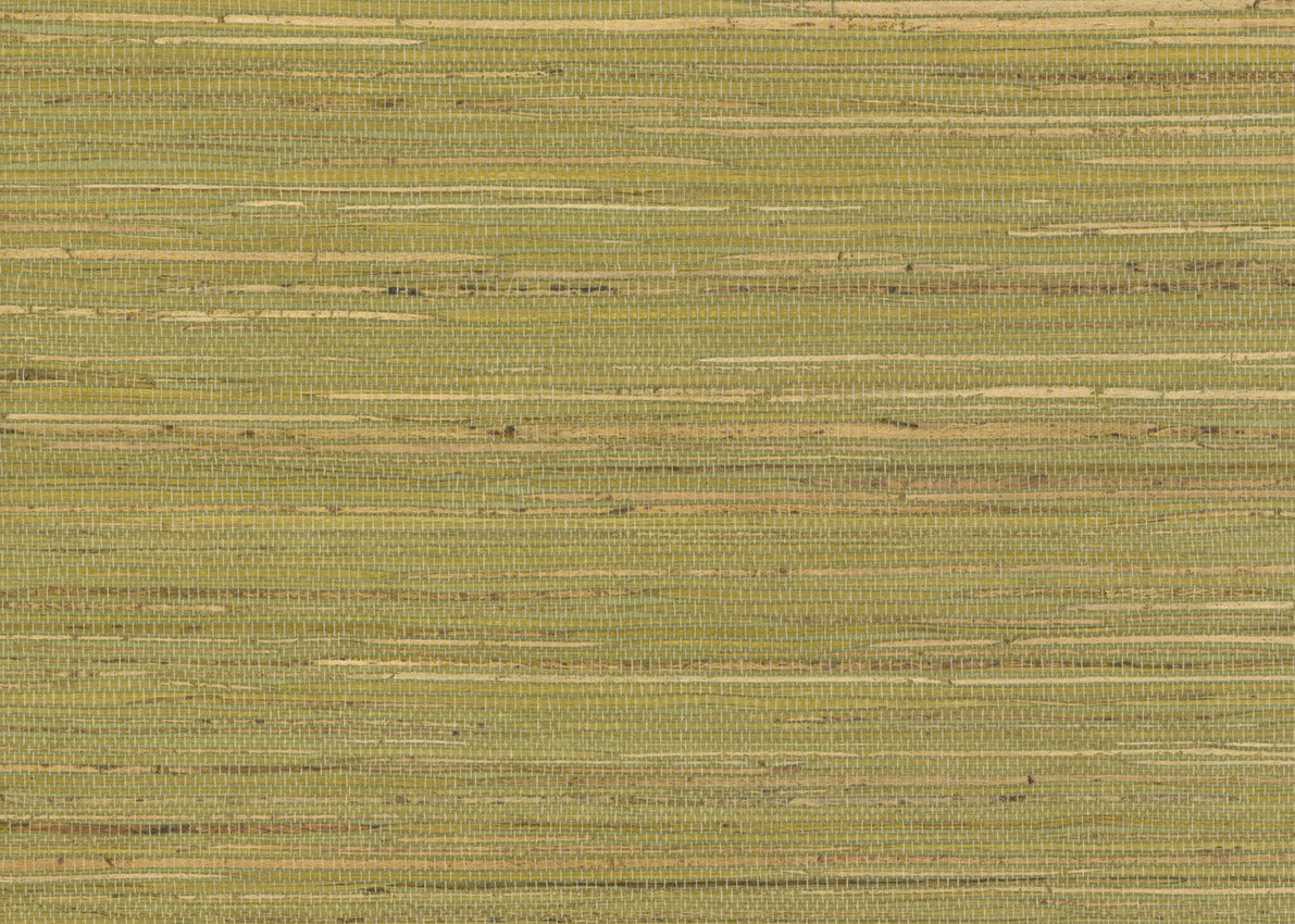 Hemp 3061
