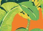 Hinson Palm 26012