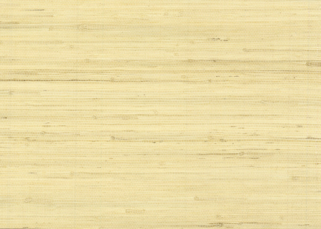 Jute 3095