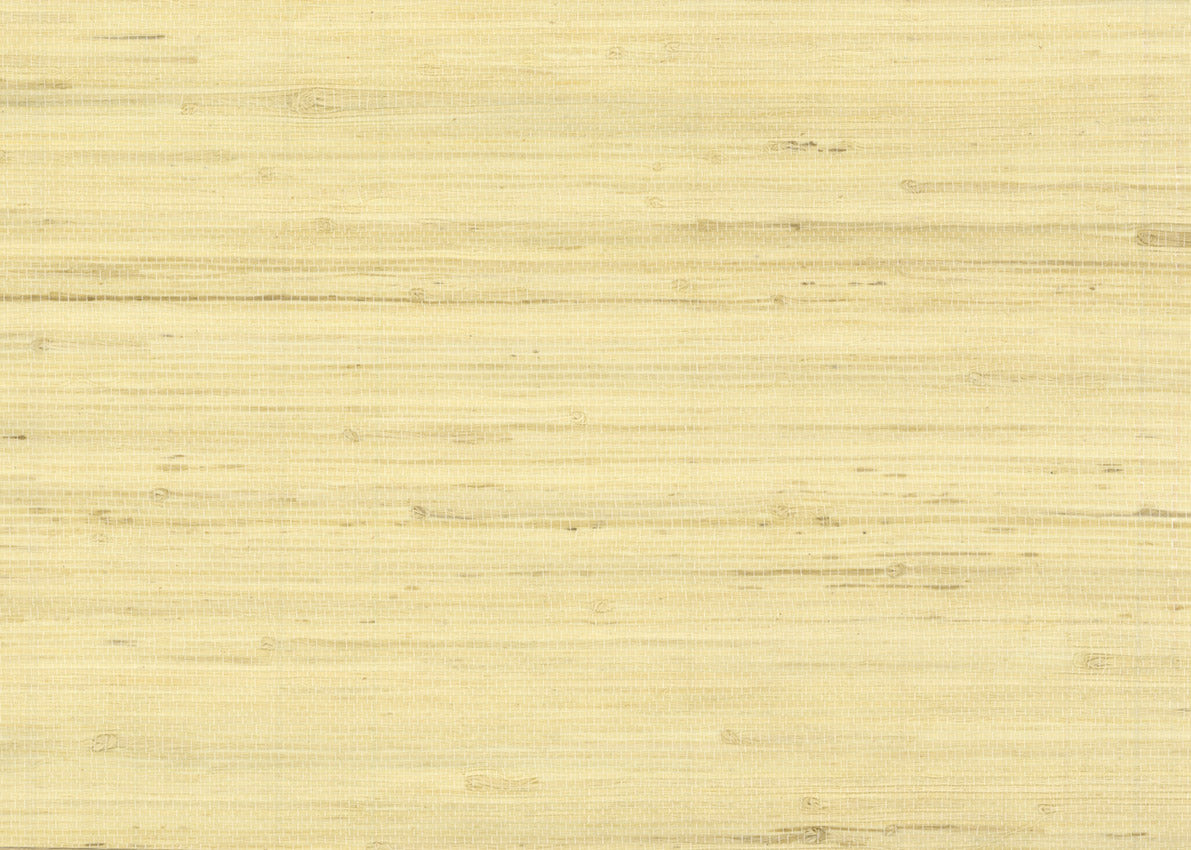 Jute 3095