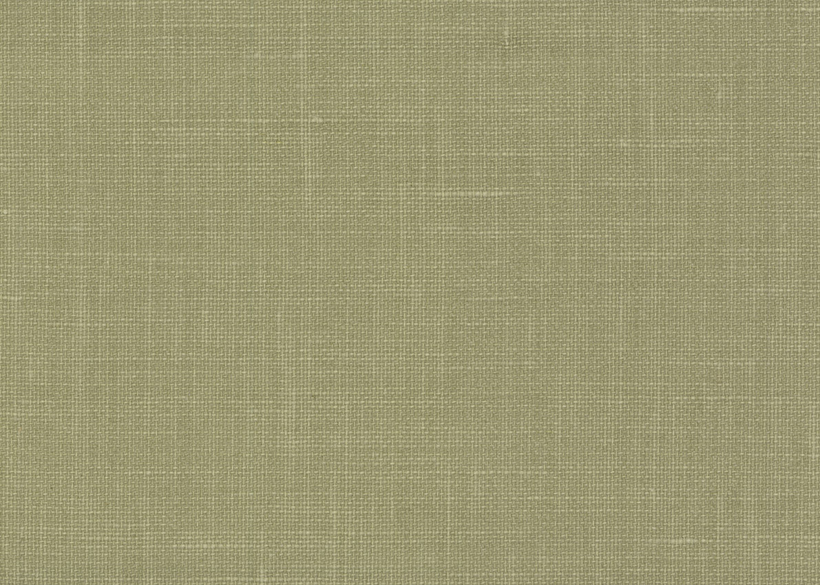 Jute 3096