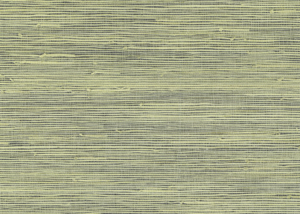 Jute 3097