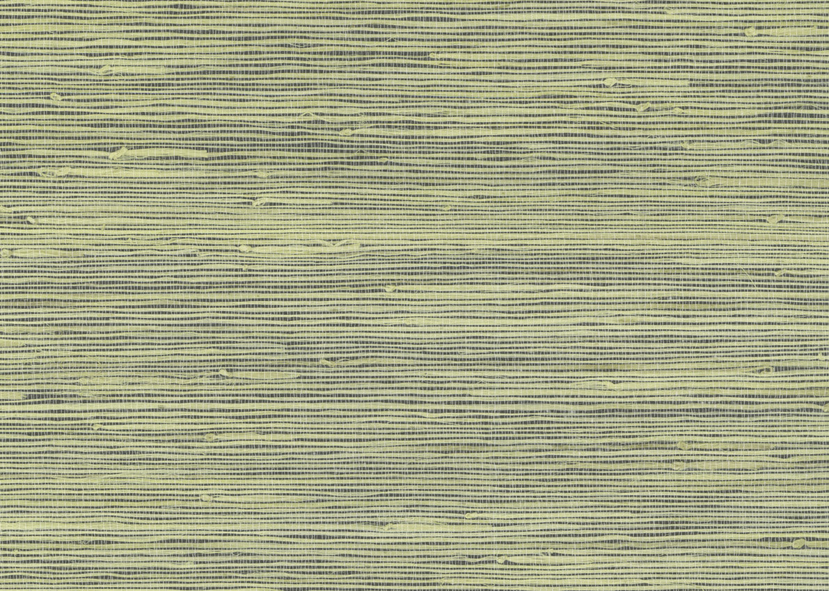 Jute 3097
