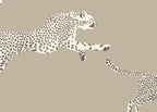 Leaping Cheetah 26021