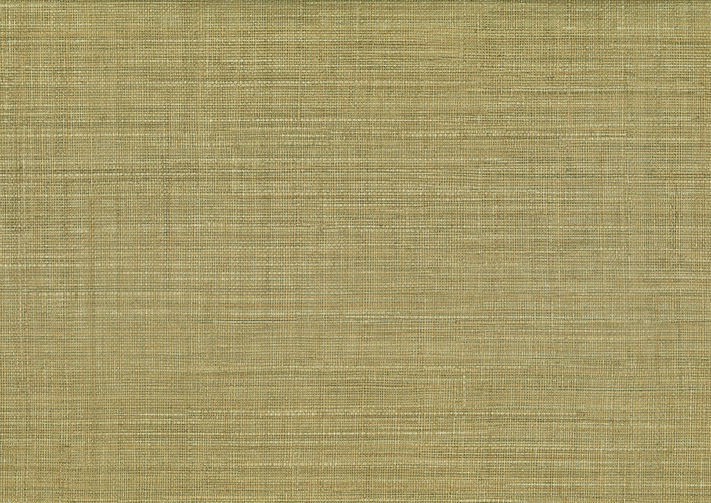 Mapari 25875
