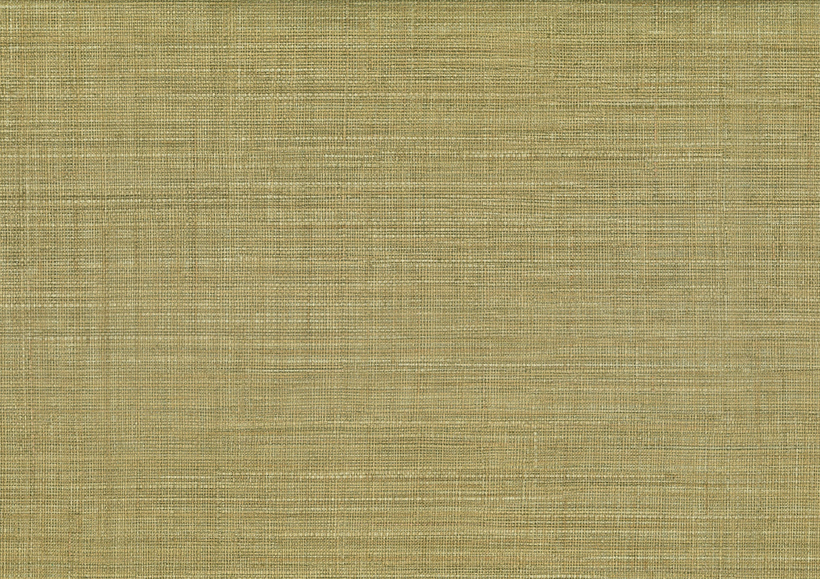 Mapari 25875