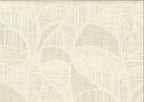 Monstera 25822