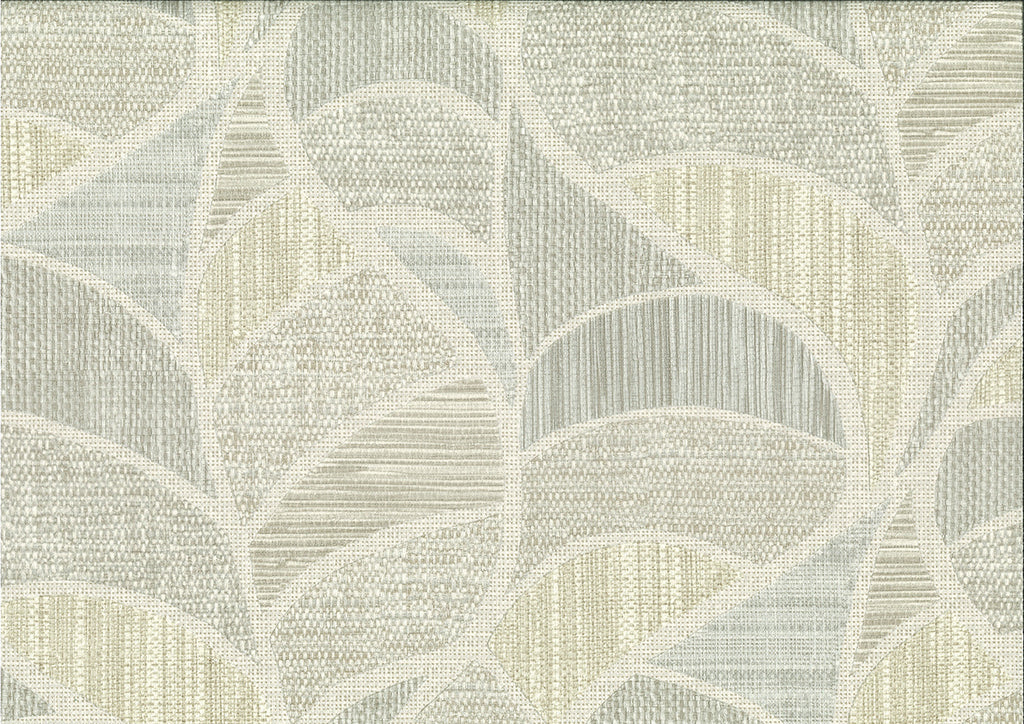 Monstera 25823