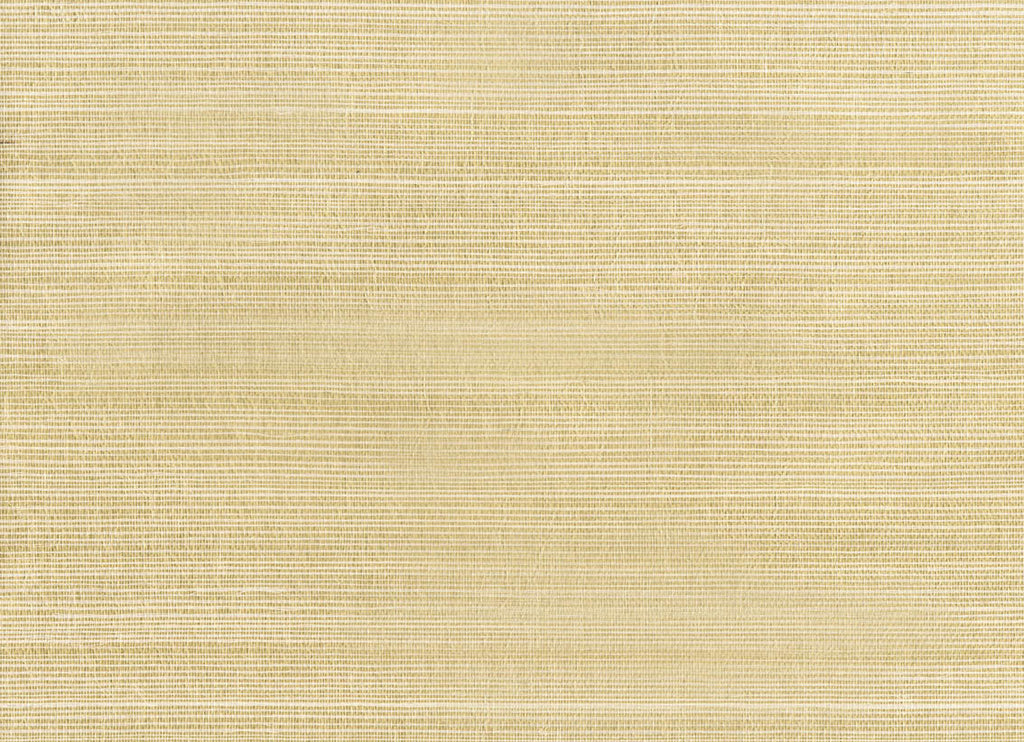 Natural Raffia 4761