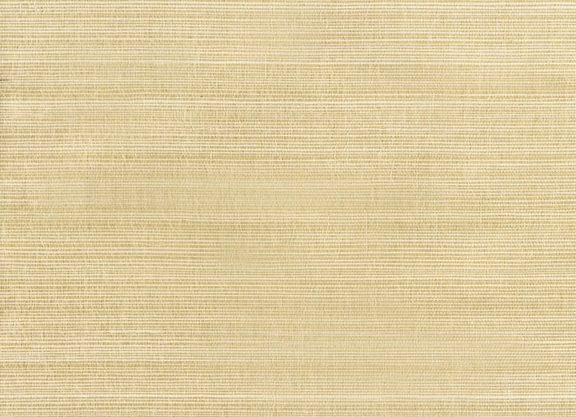Natural Raffia 4761