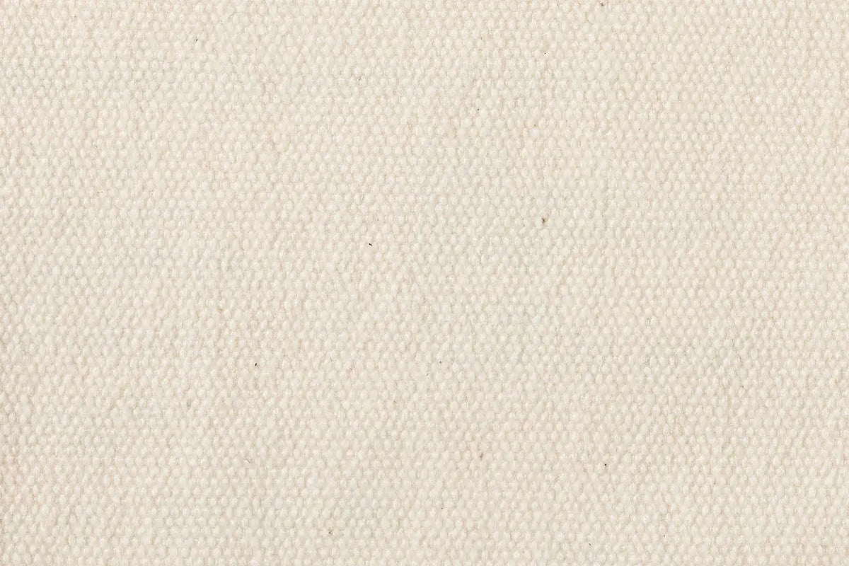 PEPE PLUS 03