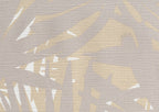 Pandanus 6240